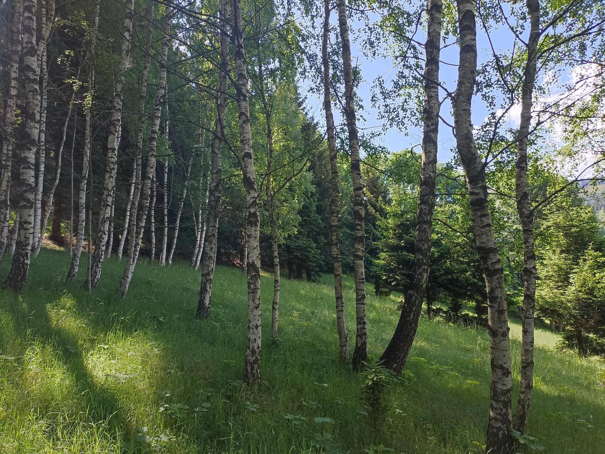 Folwark Noclegowy W Nowej Morawie Holiday home