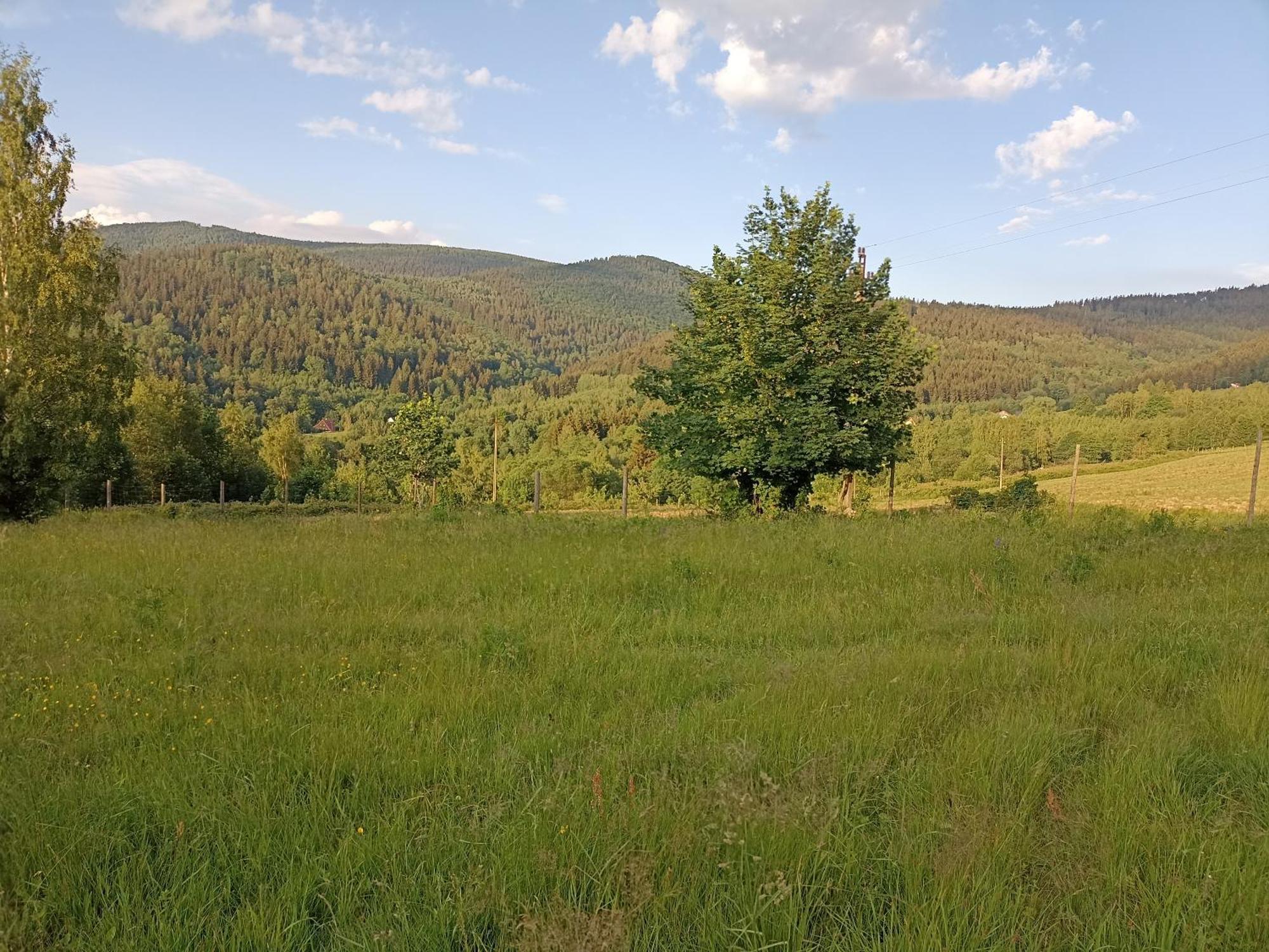 Holiday home Folwark Noclegowy W Nowej Morawie Nowa Morawa